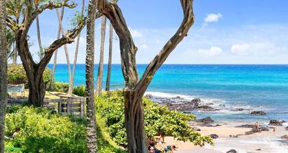 SUMMER SALE! Napili Bay Studio with Direct Ocean View - Napili Bay 210