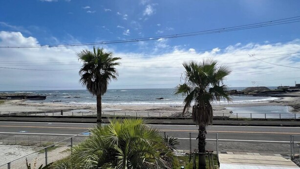 Eine Küstenstraße mit Palmen und einem Strand im Hintergrund.