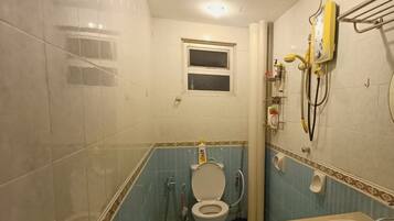 Shower, hair dryer, bidet, towels
