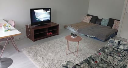Welcoming studio in Lahti with cozy vibes. Fits for 4 person to sleep.