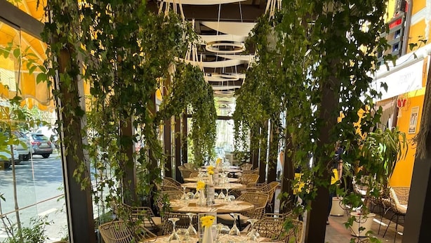 An outdoor dining area with round tables, wicker chairs, and greenery overhead. - Les Jardins Carol (Bucharest)
