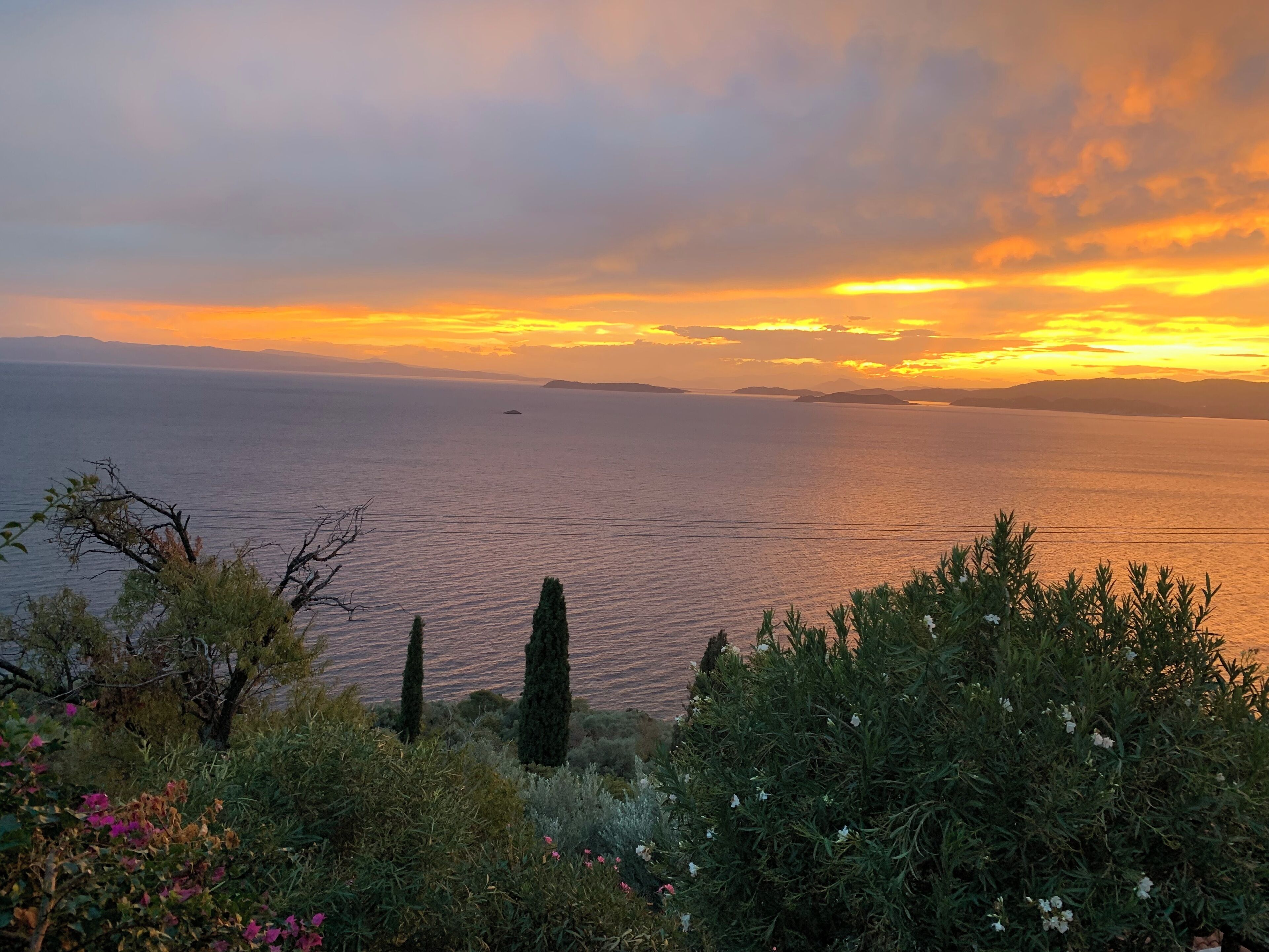 A coastal landscape with a view of the sea and distant landforms, surrounded by greenery and flowering plants.