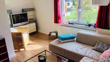 Fernseher, DVD-Player, Bücher