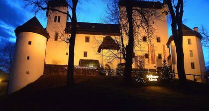 Geräumiges Ferienhaus in Goldegg in Skigebietsnähe