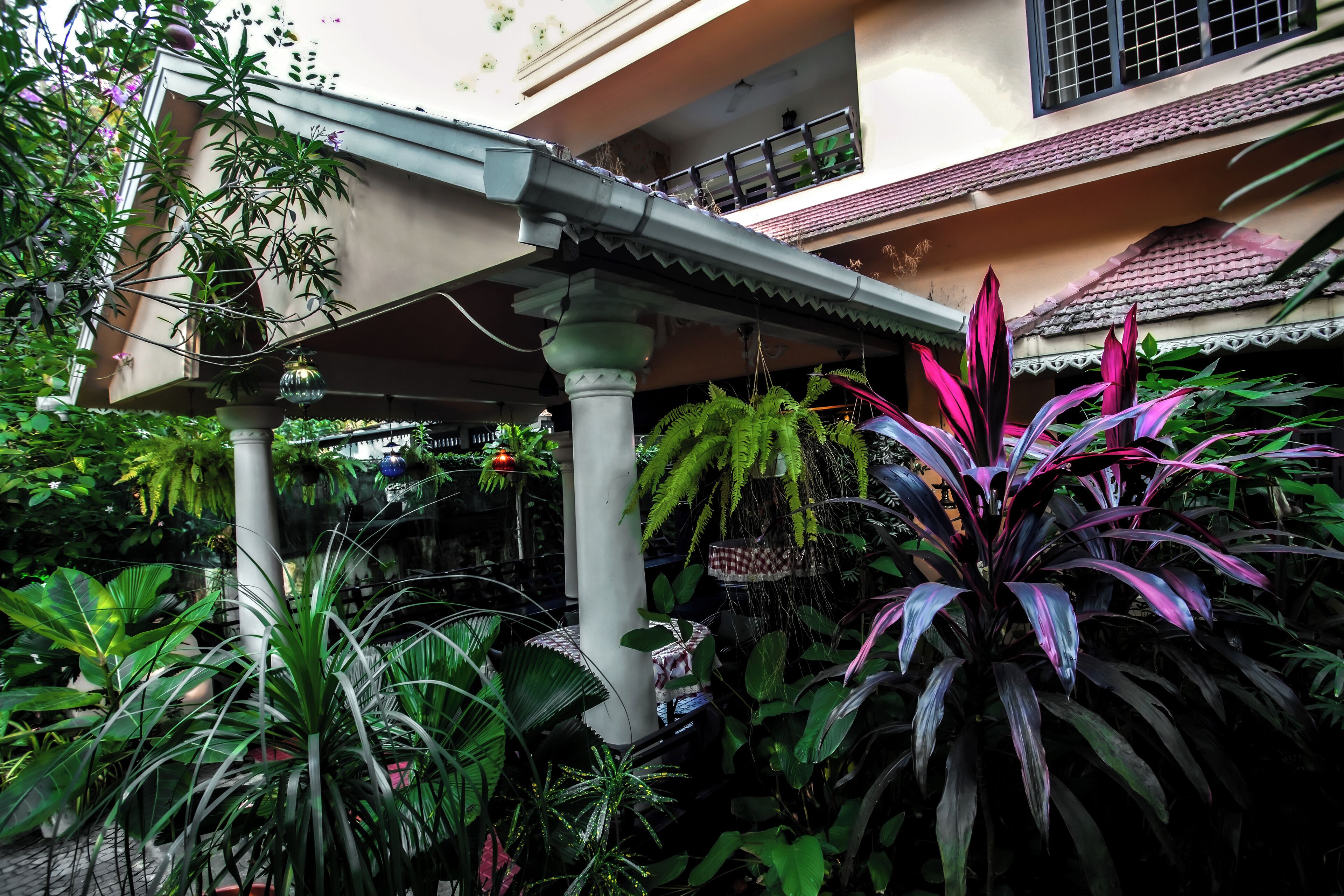 A covered outdoor area with a variety of plants and a traditional architectural style.