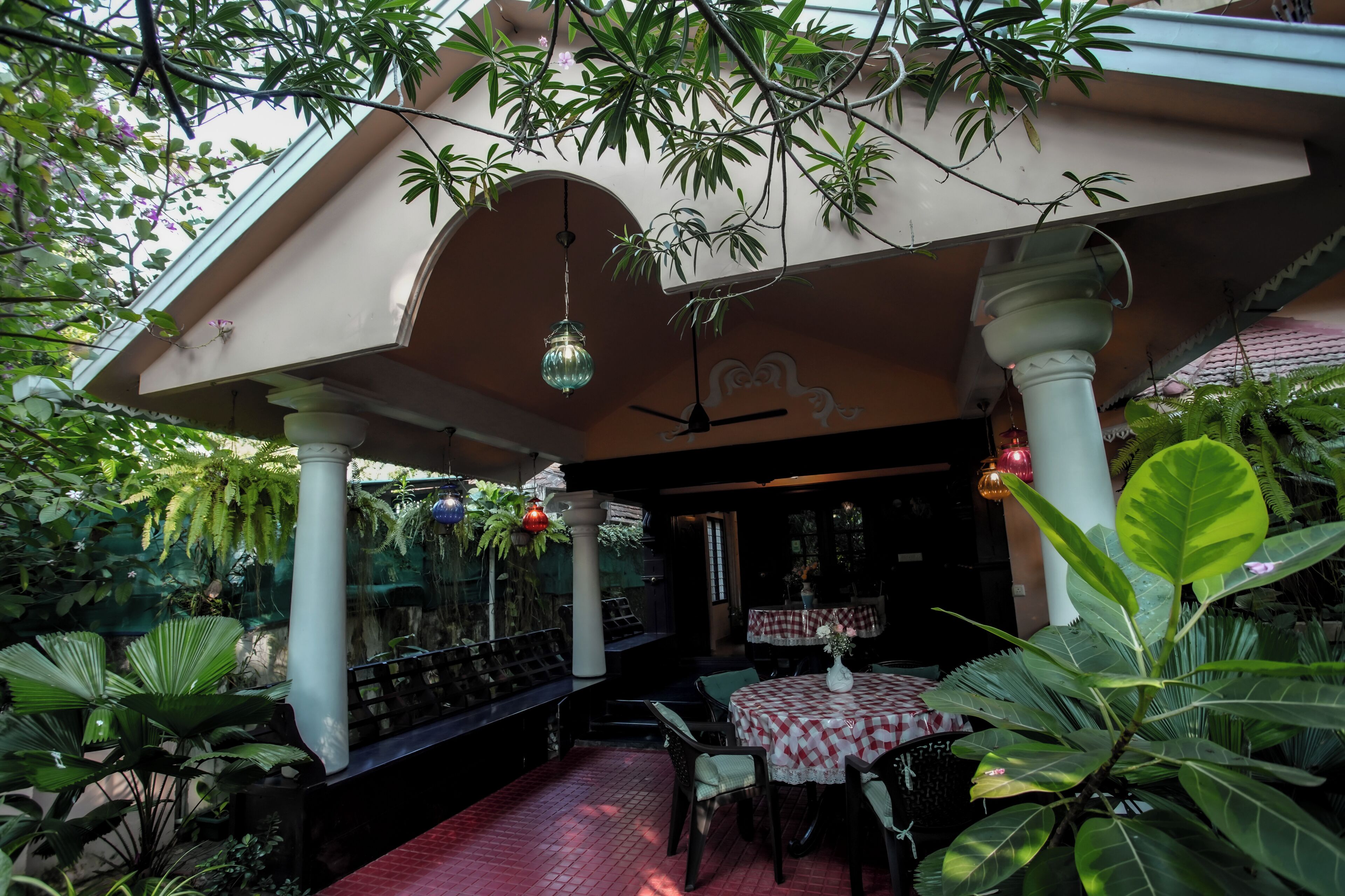 An indoor garden with a table and chairs, a ceiling fan, and hanging plants.