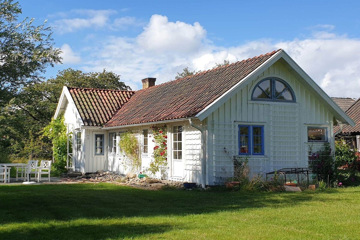Värdens profilbild