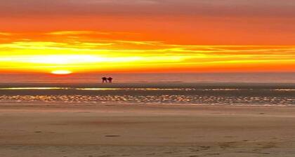 Chalet Escape in Antwerp