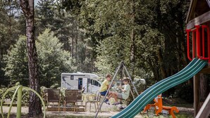 Un terrain de jeux avec des balançoires et un toboggan, entouré d’arbres et bordé d’un camping-car garé.