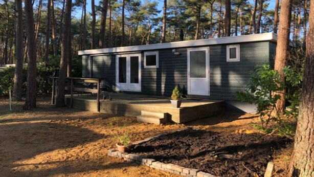 A small cabin with a front porch, a small deck, and a dirt yard surrounded by tall pine trees.