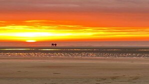 A beach with a sunset.