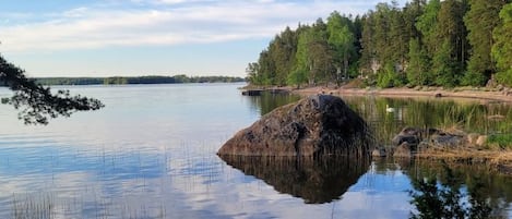 A calm lake with a large rock in the center, surrounded by dense trees and a clear sky.