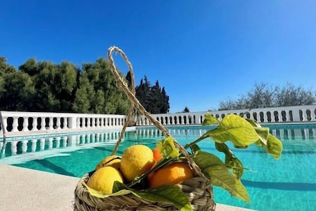 Outdoor pool. Dar Louzir a Tazarka