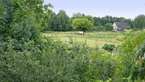 Un paysage rural avec une maison, un champ clôturé et des chevaux.