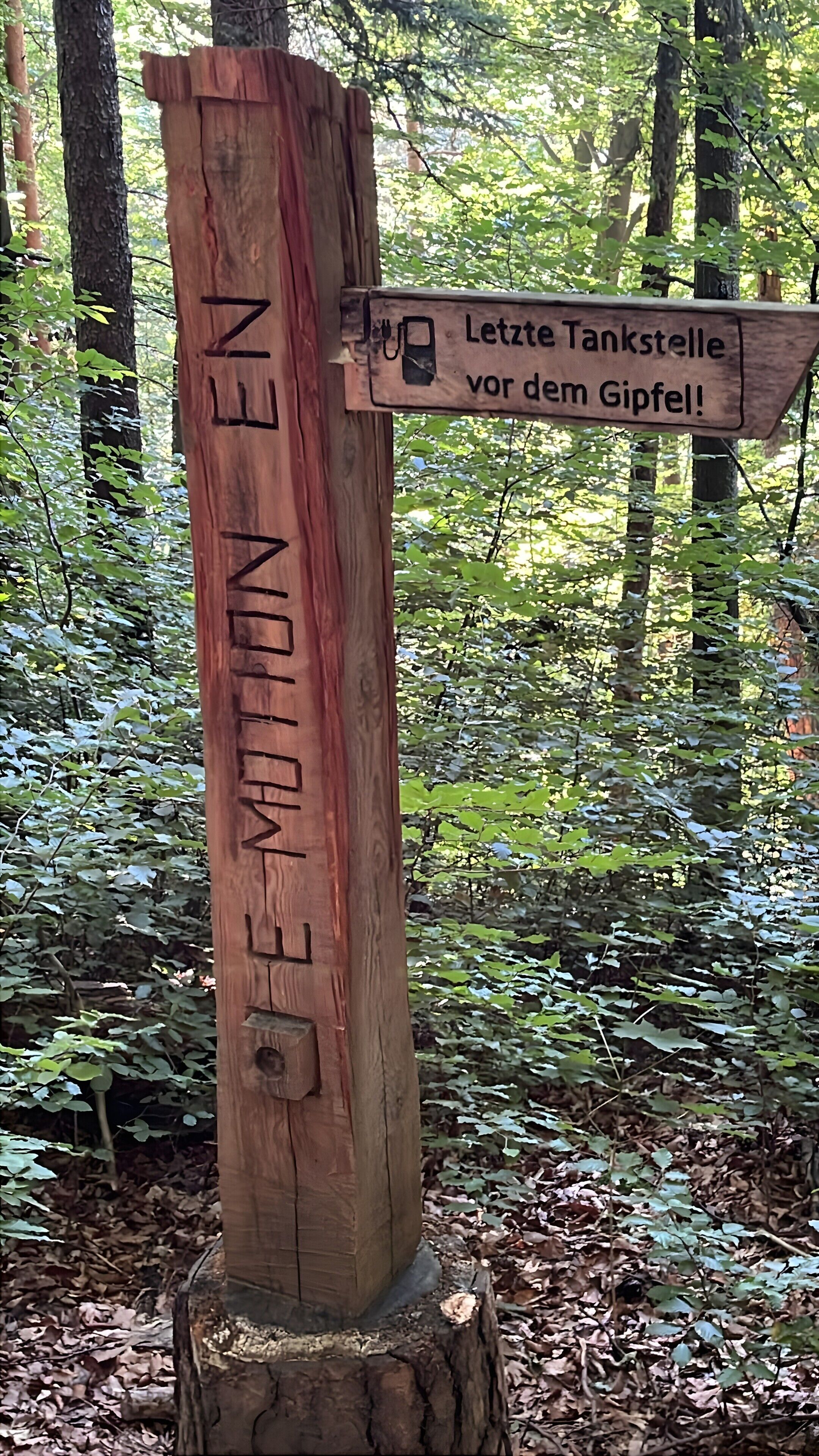 Ein hölzernes Wegweiser mit Richtungsangaben inmitten eines Waldes.