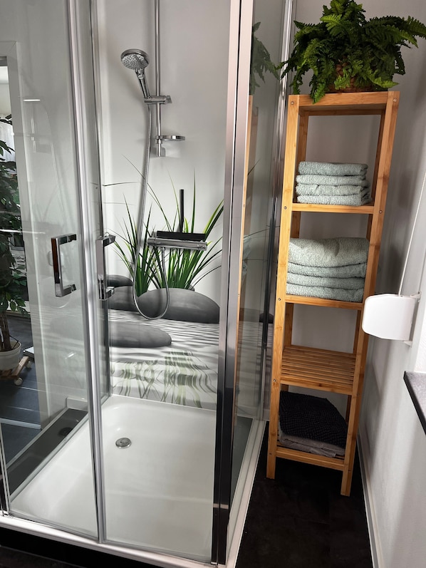 Shower, hair dryer, towels