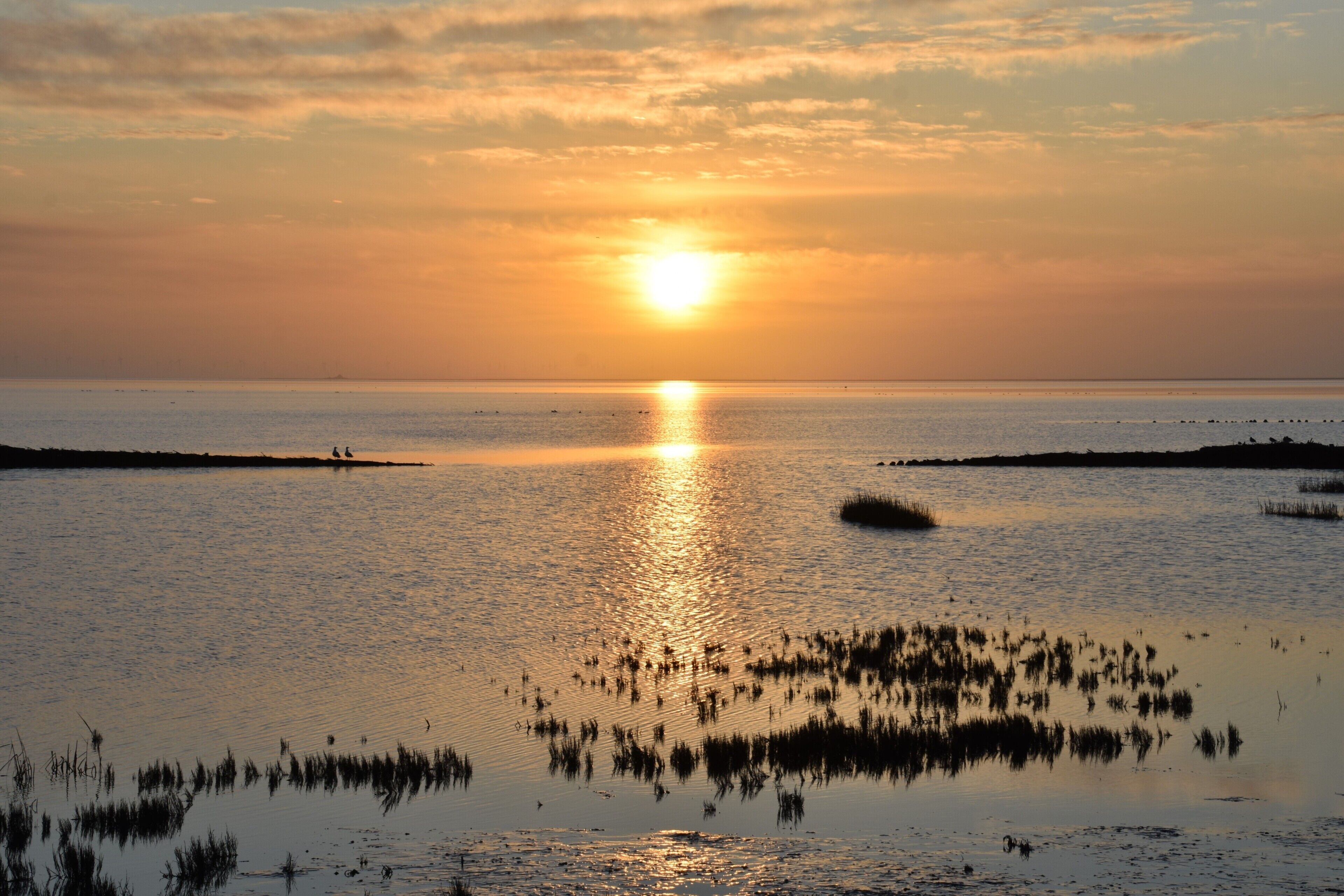 A sunset over a calm body of water with reflections of the sky and vegetation.
