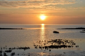 Miscellaneous - Apartment 'Friesenblau' with Sea View, Shared Terrace and Wi-Fi (Langeneß)