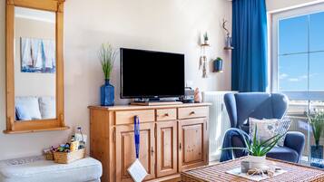 Una televisión, un reproductor de DVD