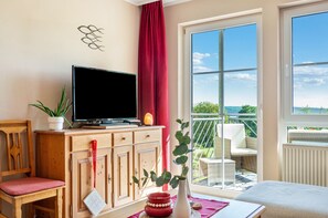 تلفزيون، مشغل دي في دي