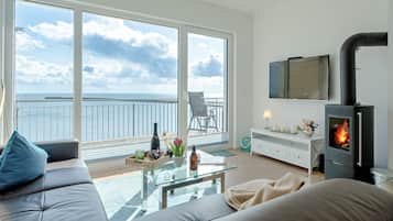 TV, fireplace, DVD player