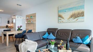 TV, fireplace, DVD player