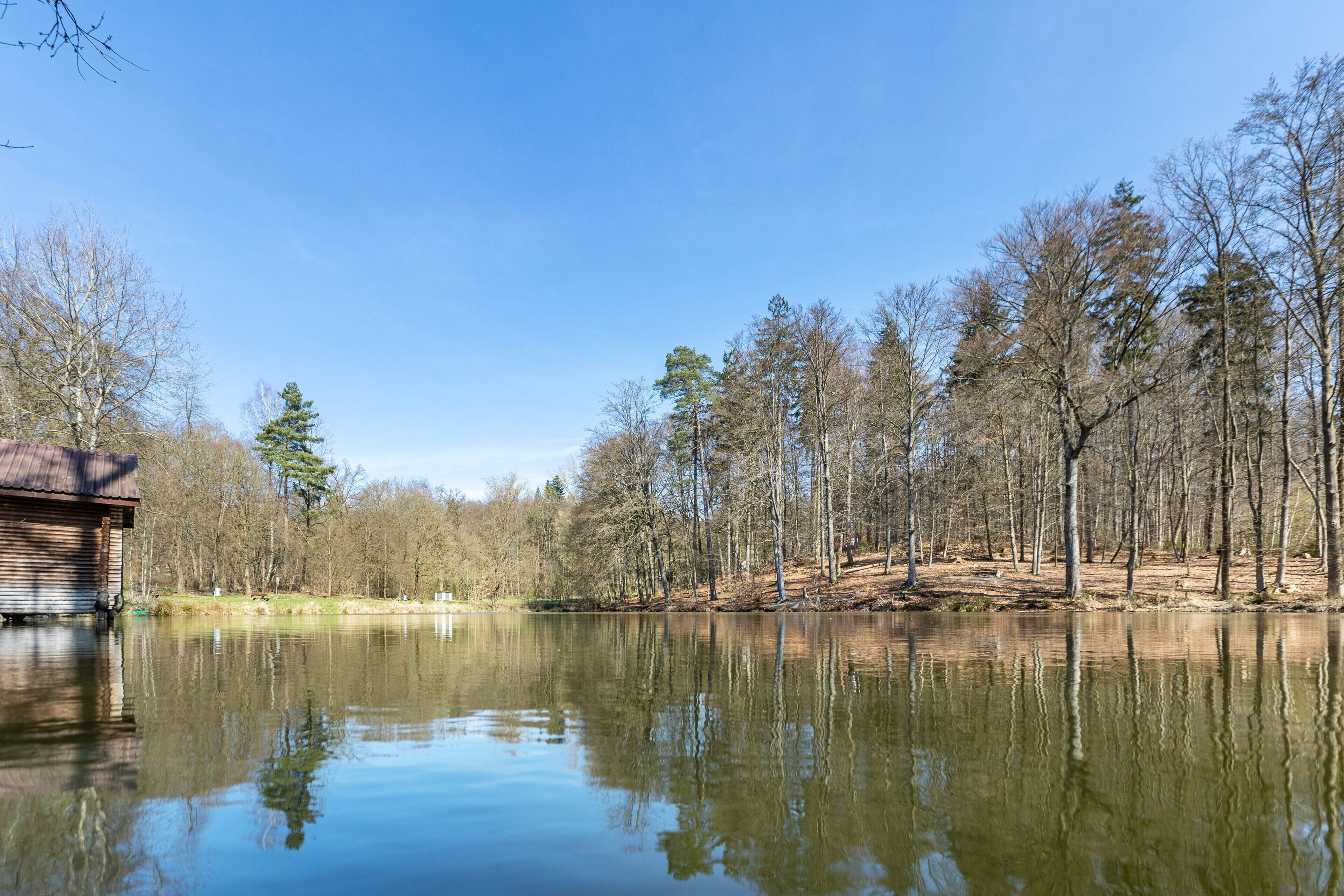 A calm lake with a wooden cabin on the left and a forested area on the right.