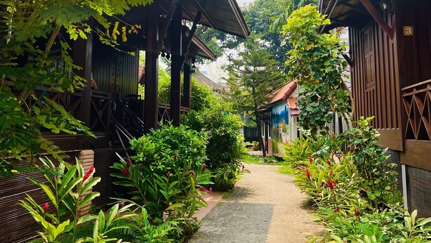 A pathway flanked by lush greenery and traditional wooden structures with a clear view of the surrounding vegetation. - Villa de Mekong (Vientiane)
