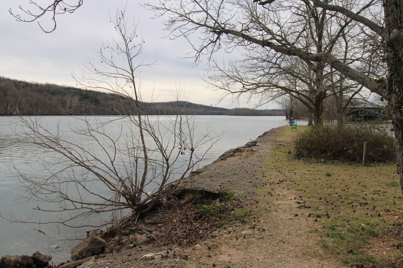 A lakeside path with a bench and a sign, surrounded by bare trees and a distant hill.
