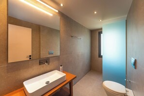 Shower, hair dryer, towels, toilet paper