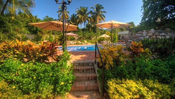 Un área de piscina con escalones que bajan al agua, rodeada de vegetación exuberante y palmeras.