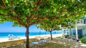 Une plage avec des chaises longues, une table et des parasols sous un arbre.