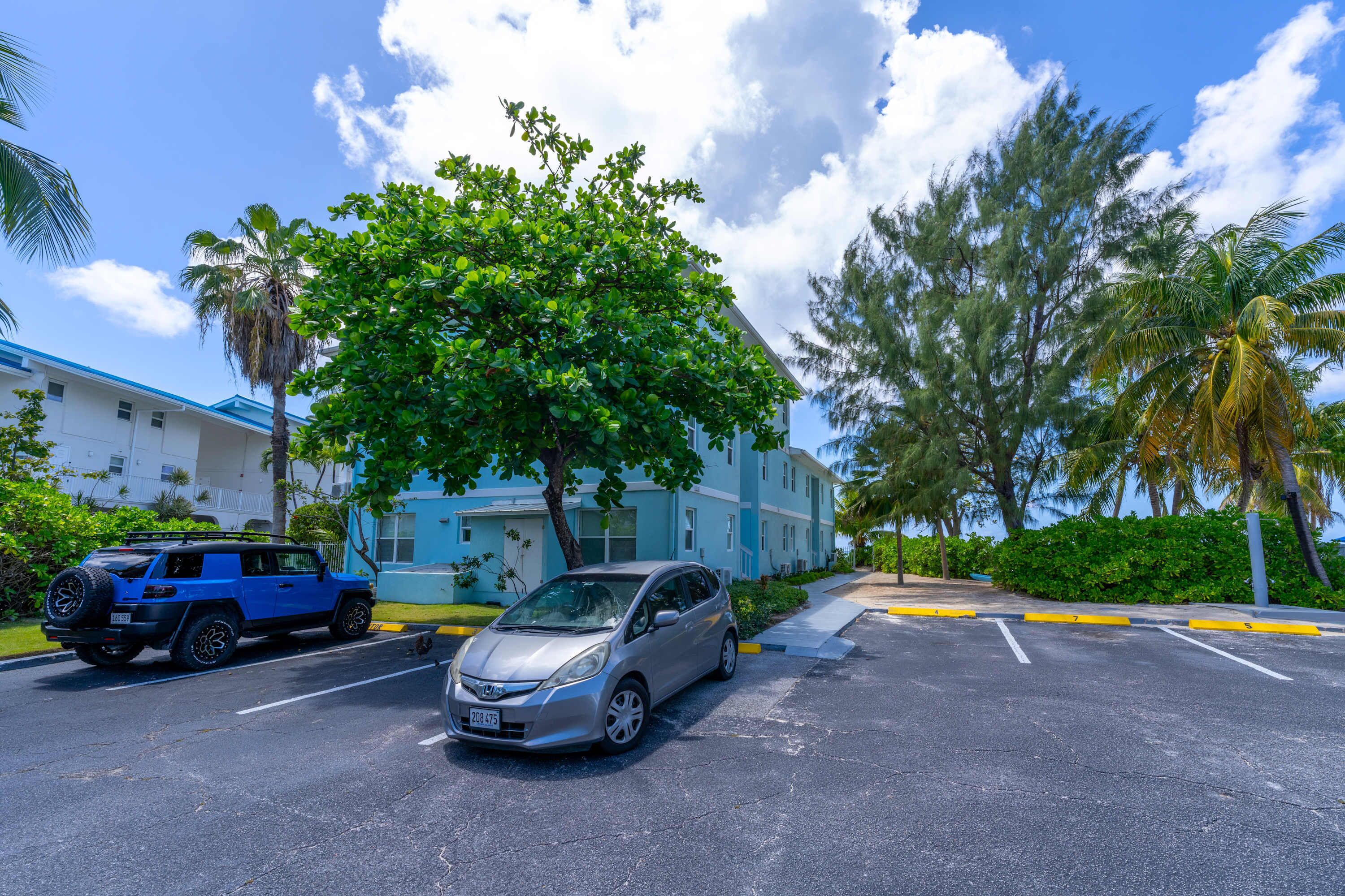 A parking lot with a silver car and a blue SUV, surrounded by lush greenery and a building with a blue roof.