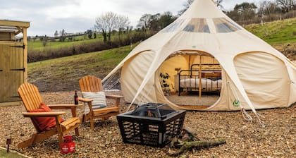 Glamping - The Natterjack, Bath