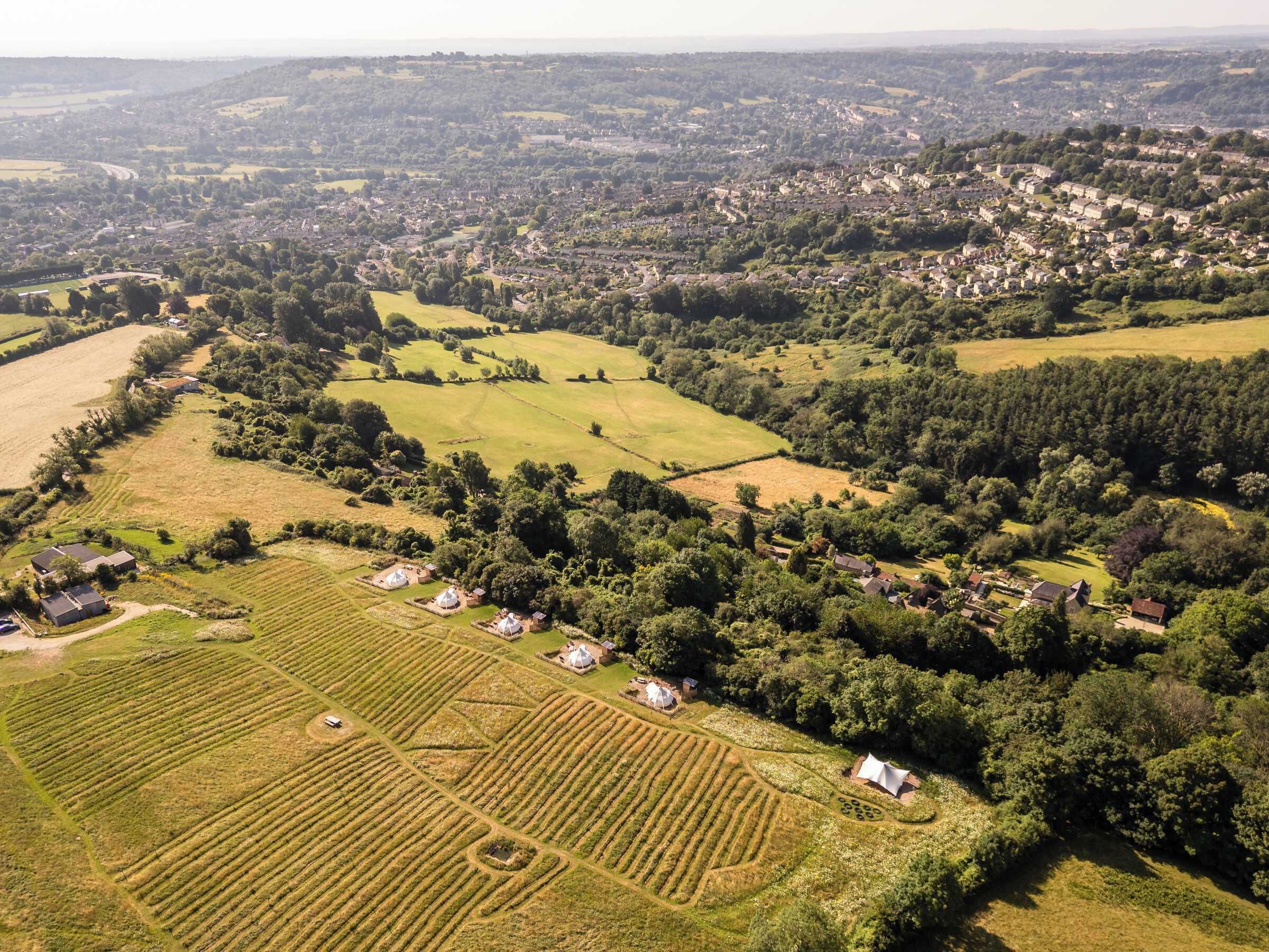 Aerial view