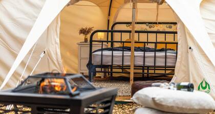 Glamping - The Natterjack, Bath
