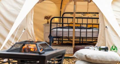 Glamping - The Natterjack, Bath