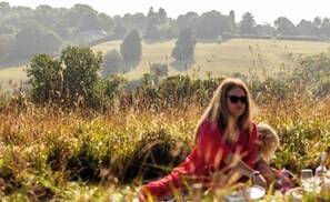 A person sitting in a field with a table and chairs, surrounded by tall grass and trees in the background.