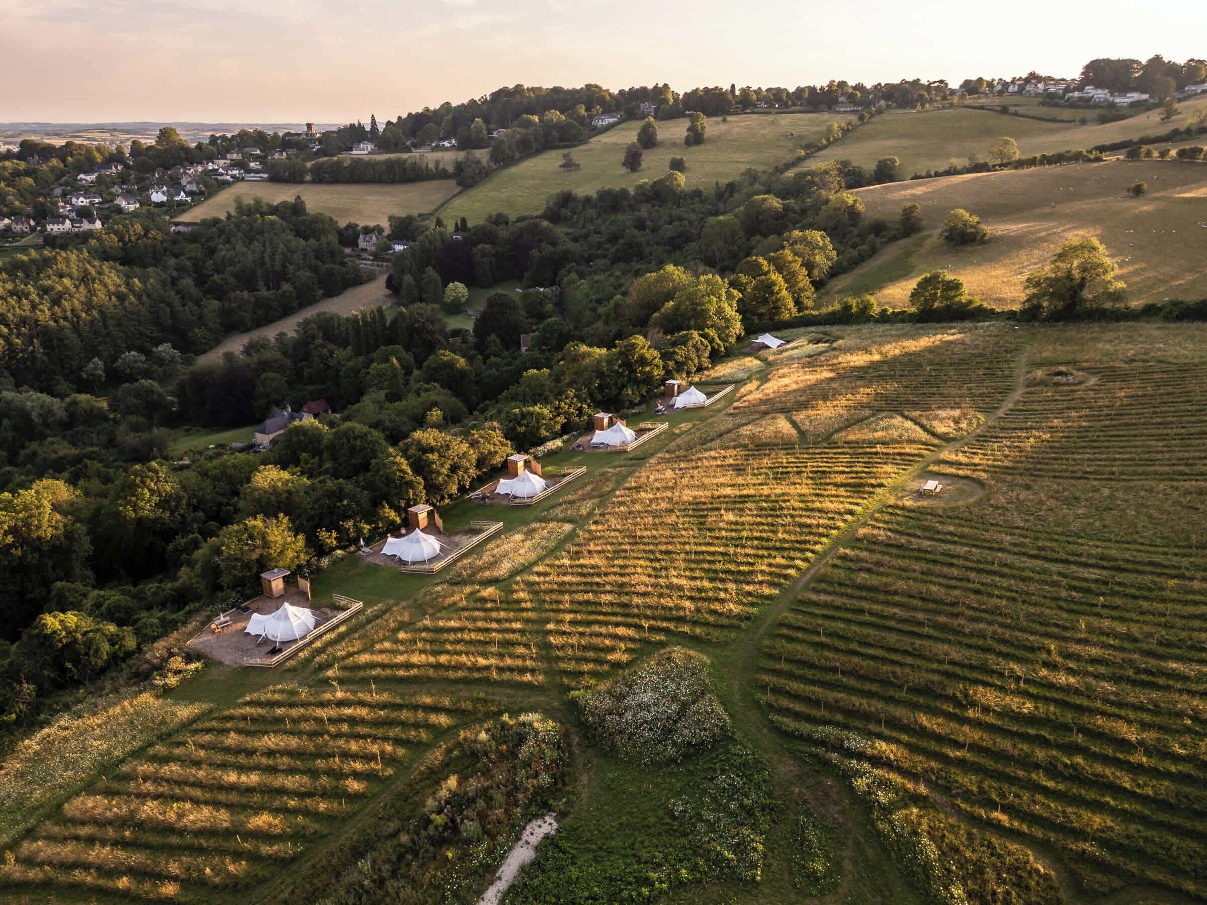 航空写真