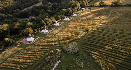 Glamping - The Natterjack, Bath
