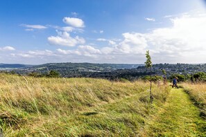 A grassy path leading through a hilly landscape with a view of a town in the distance.