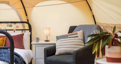 Glamping - The Natterjack, Bath