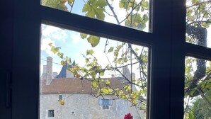 A view through a window with a view of a stone building, a grassy yard, and some plants.