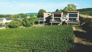 Une maison moderne à deux étages, dotée d’un balcon, entourée de vignes et surplombant un ciel d’un bleu limpide.