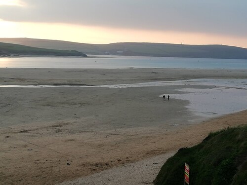 Badgers Nestled in a Cozy Corner of the