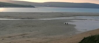 Badgers Nestled in a Cozy Corner of the