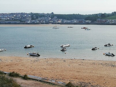 Badgers Nestled in a Cozy Corner of the