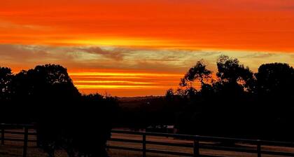 Mount Bold Estate - Luxurious Private Retreat - Kangarilla and McLaren Vale