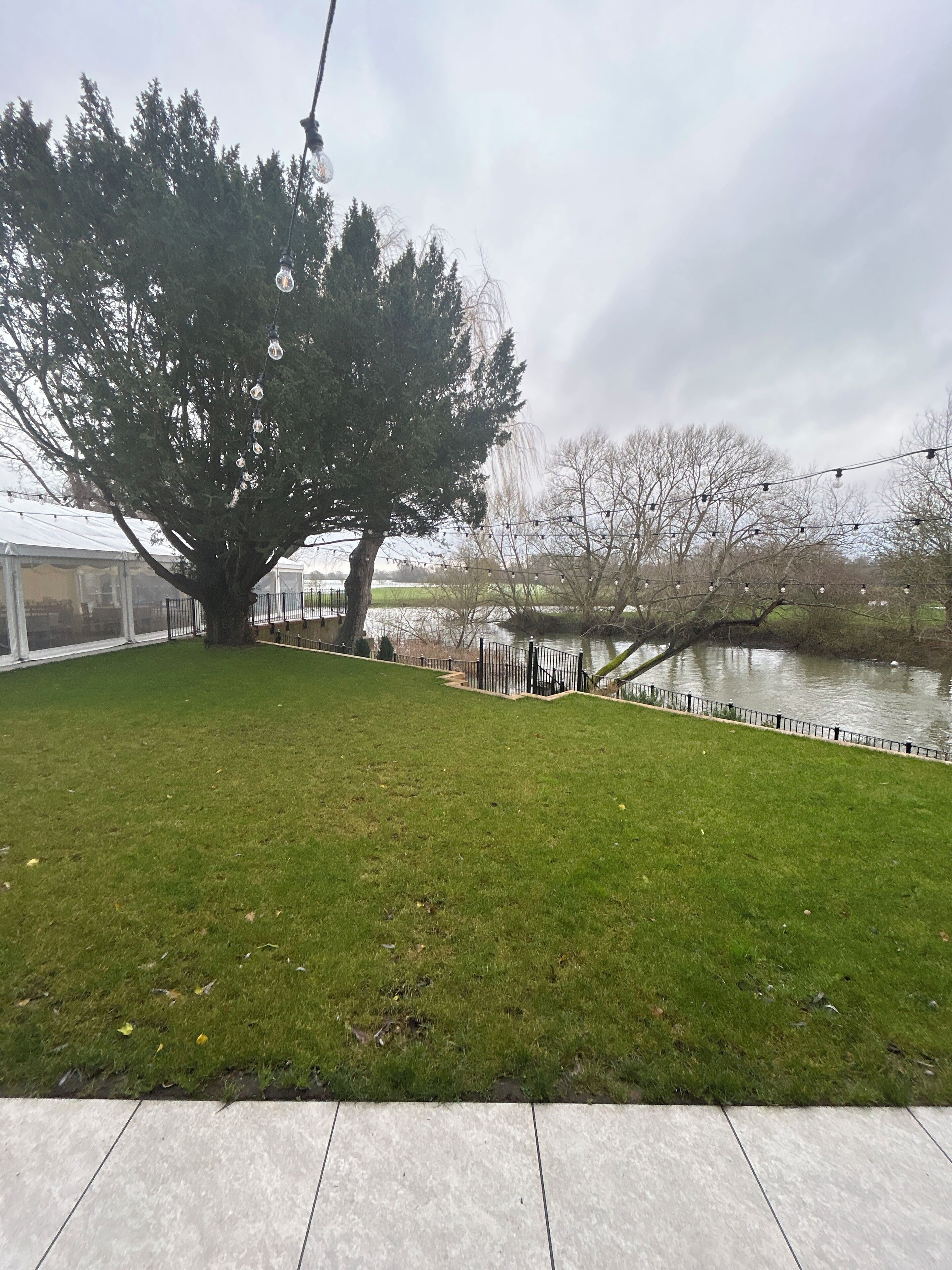 A grassy area with a large tree, a fence, and a body of water in the background.