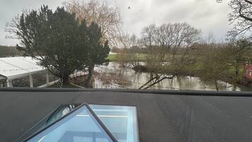 A view from a vehicle's roof, including a glass window, a tree, and a body of water.